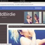 BaddBirdie Discount Logins