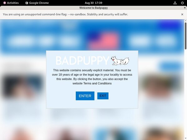 Badpuppy.com Buy Tokens