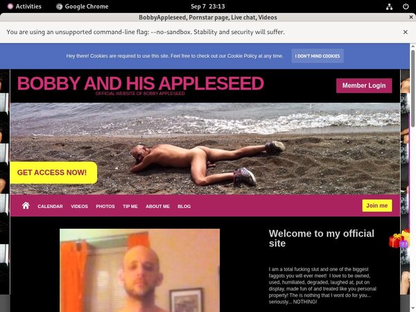 BobbyAppleseed User And Password