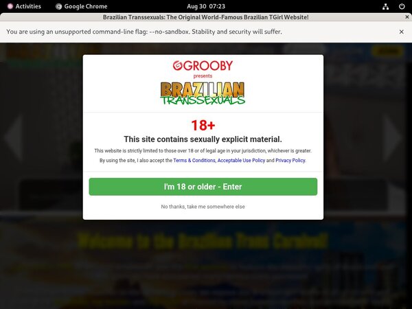 Brazilian Transsexuals With No Credit Card