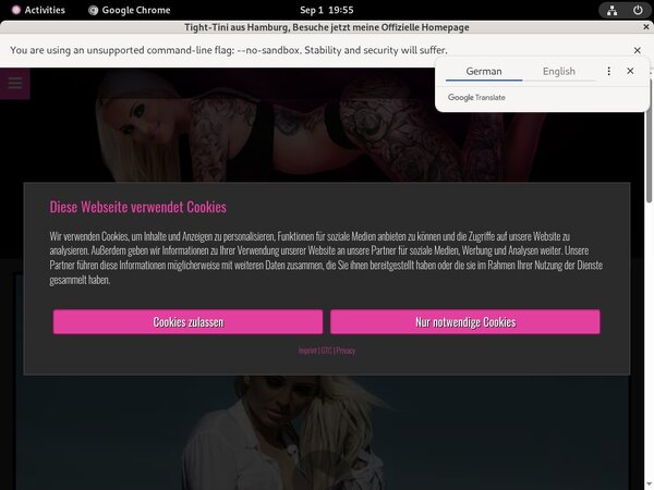 Free Tight-Tini Hacked Passwords