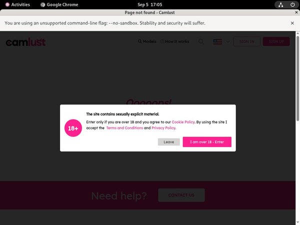GailCamlust Accounts Working