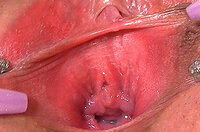 Gape My Pussy Strapon s0
