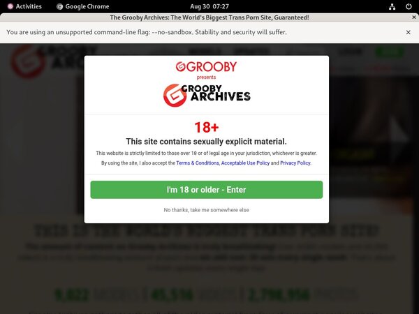 Get Thegroobyarchives Password
