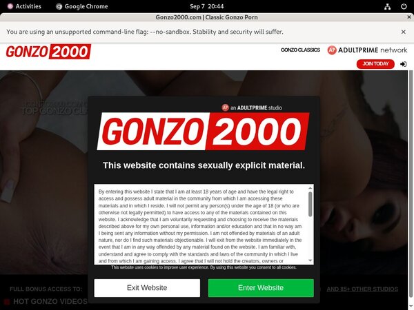 Gonzo 2000 Acount