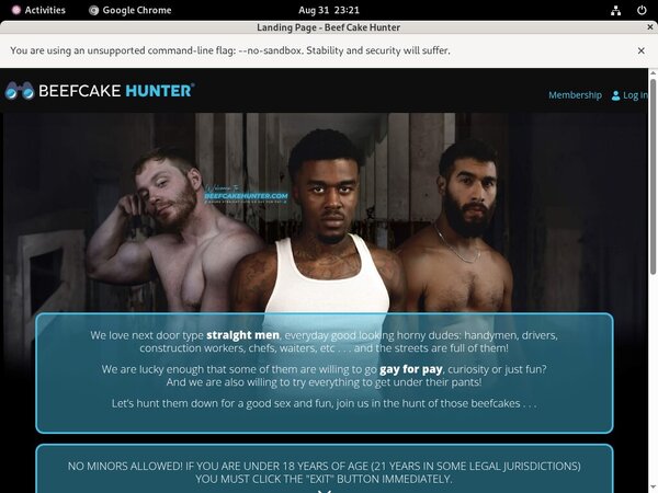 Hd Beef Cake Hunter Free