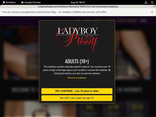 Ladyboypussy Free Passes