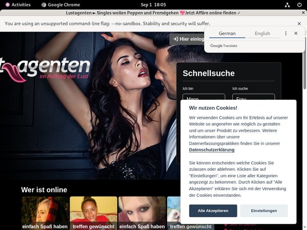Lust Agenten Register