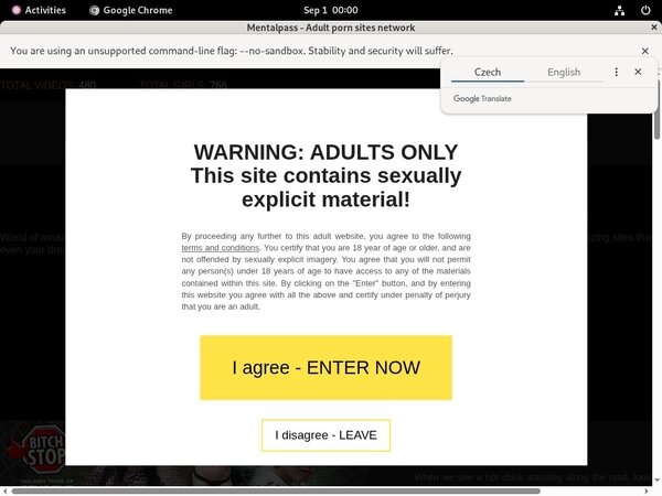 Mentalpass.com Porn Accounts