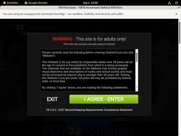Passwords To POV Pornstars