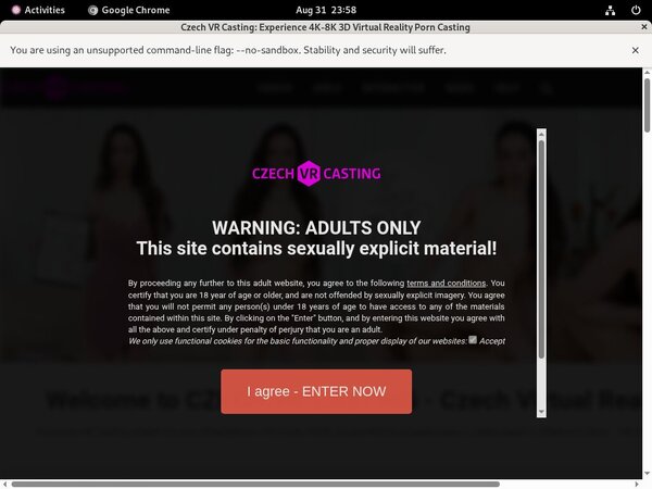 Premium Czechvrcasting Accounts Free