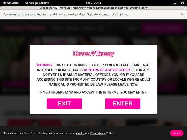 Premium Dreamtranny.com Accounts