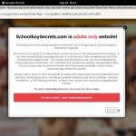 Schoolboy Secrets 3gp