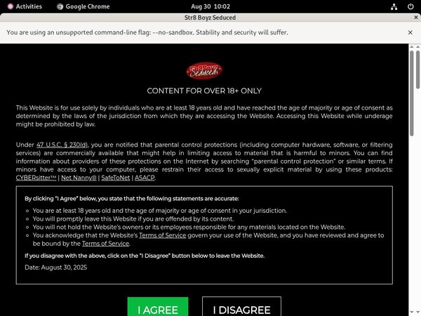 [Image: Seduced-Boyz-Str8-Login-Codes.jpg]