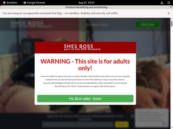 Shesboss Password Accounts