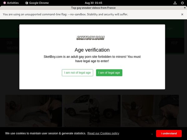 [Image: Sket-Boy-With-Discover-Card.jpg]