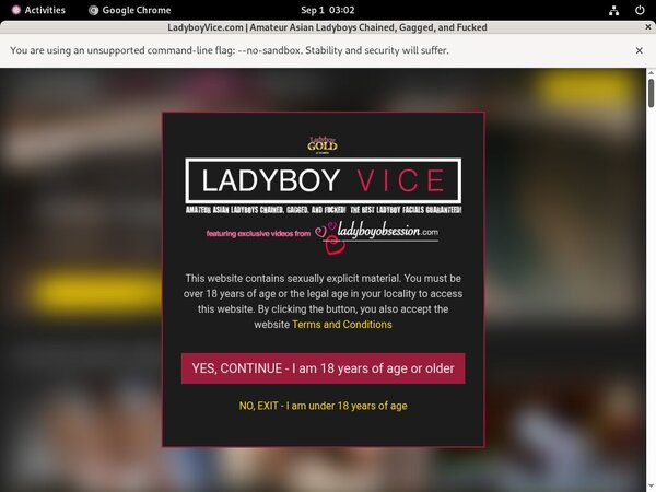 Special Ladyboy Vice Discount Deal Special Ladyboy Vice Discount Deal