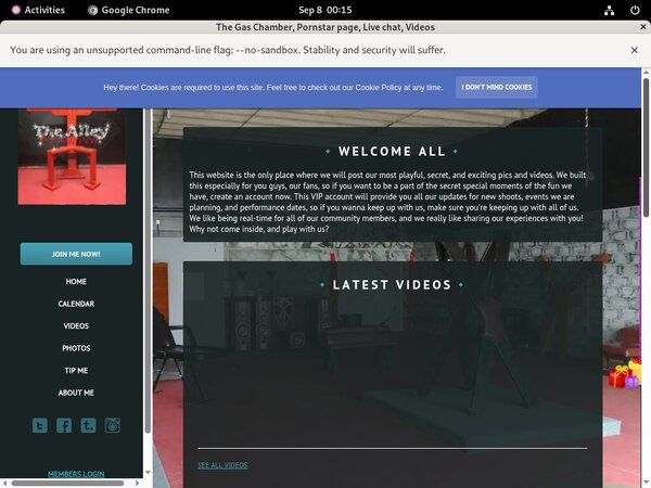 Username And Password For Thealleywynwood.modelcentro.com