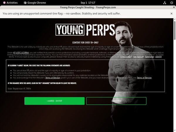 Young Perps Passworter