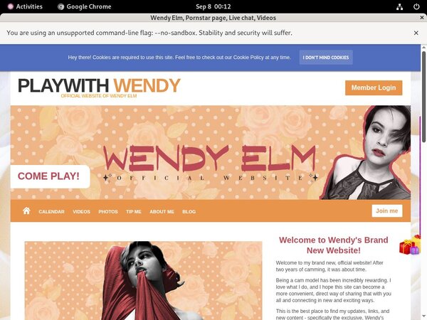 Playwithwendy Accounts Working