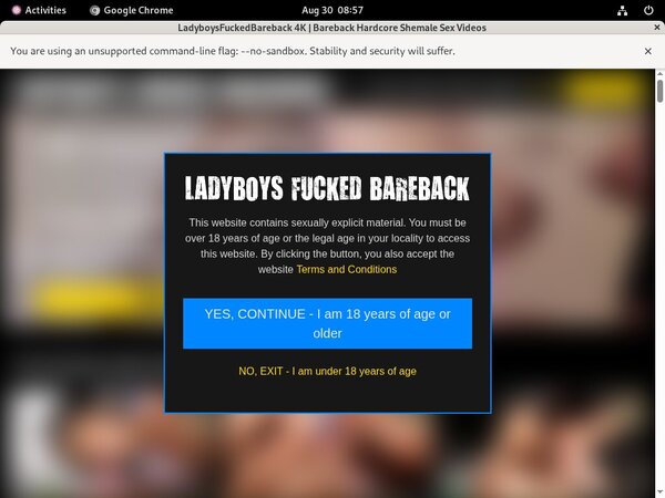 Ladyboys Fucked Bareback Free Sex